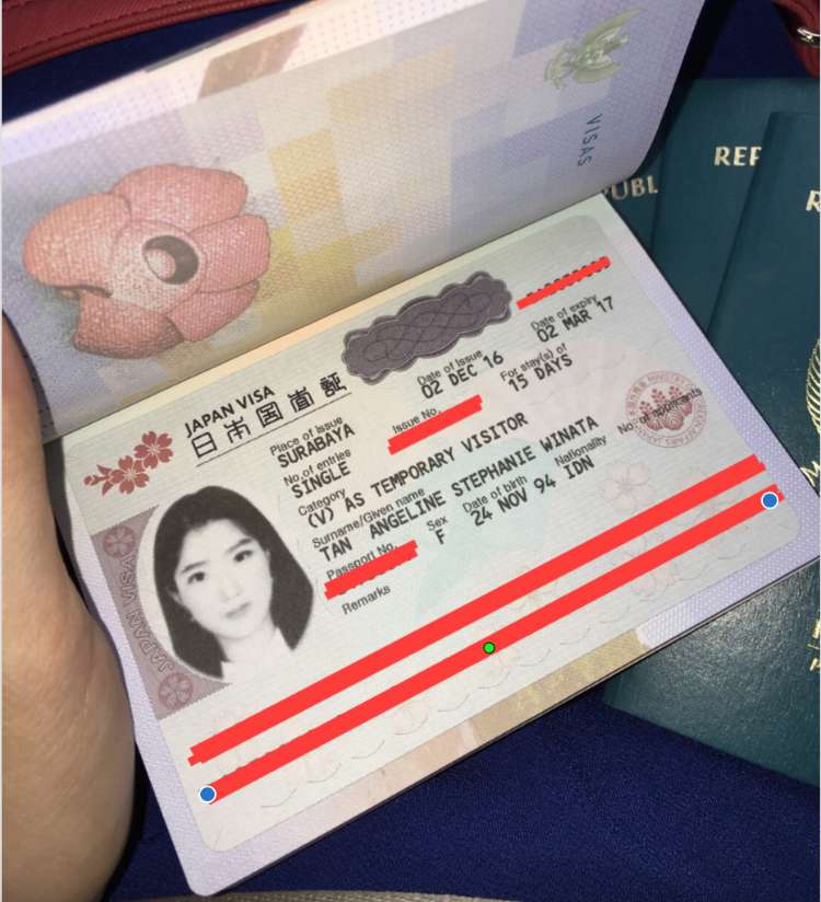 Informasi Mengenai Pengajuan Pembuatan Visa Jepang