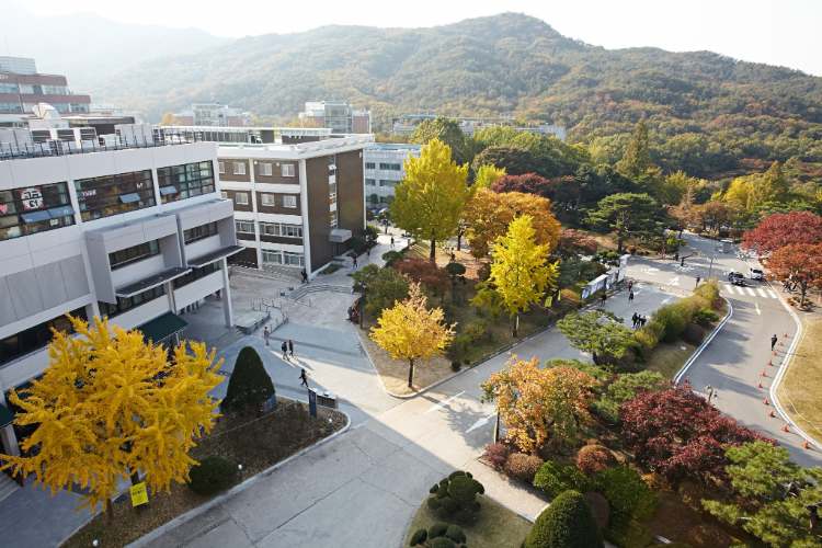 Alasan Sekolah Bisnis Manajemen di Korea Selatan