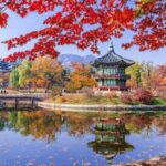 5 Hal yang Bisa Kamu Lakukan Saat Musim Gugur di Korea
