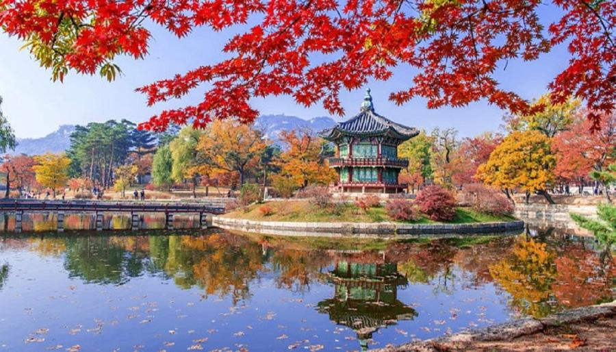 Kegiatan Wajib Saat Musim Gugur di Korea