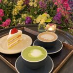 7 Rekomendasi Cafe Spring Vibes Korea