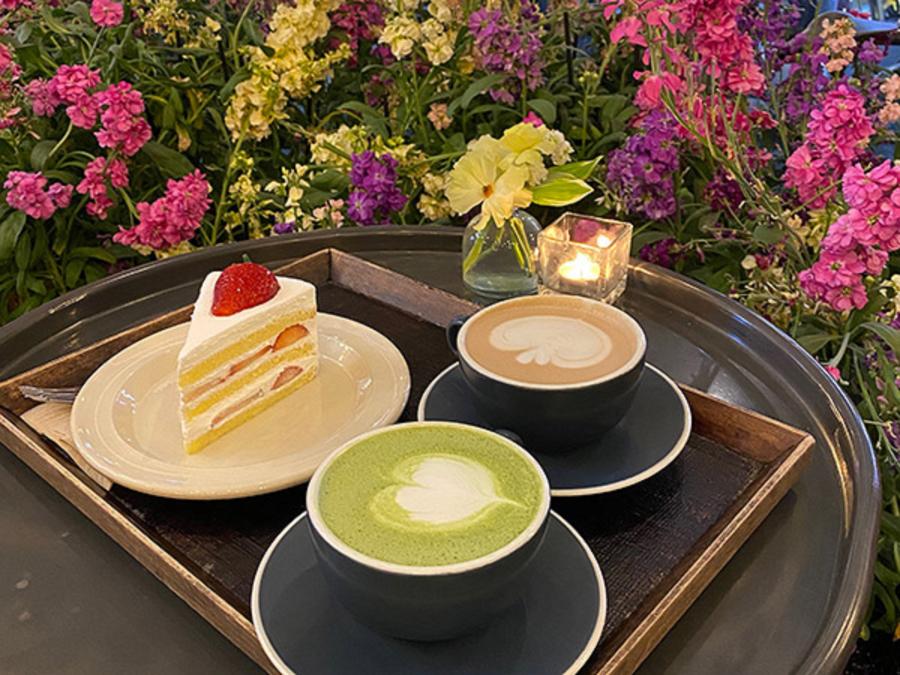 7 Rekomendasi Cafe Spring Vibes Korea