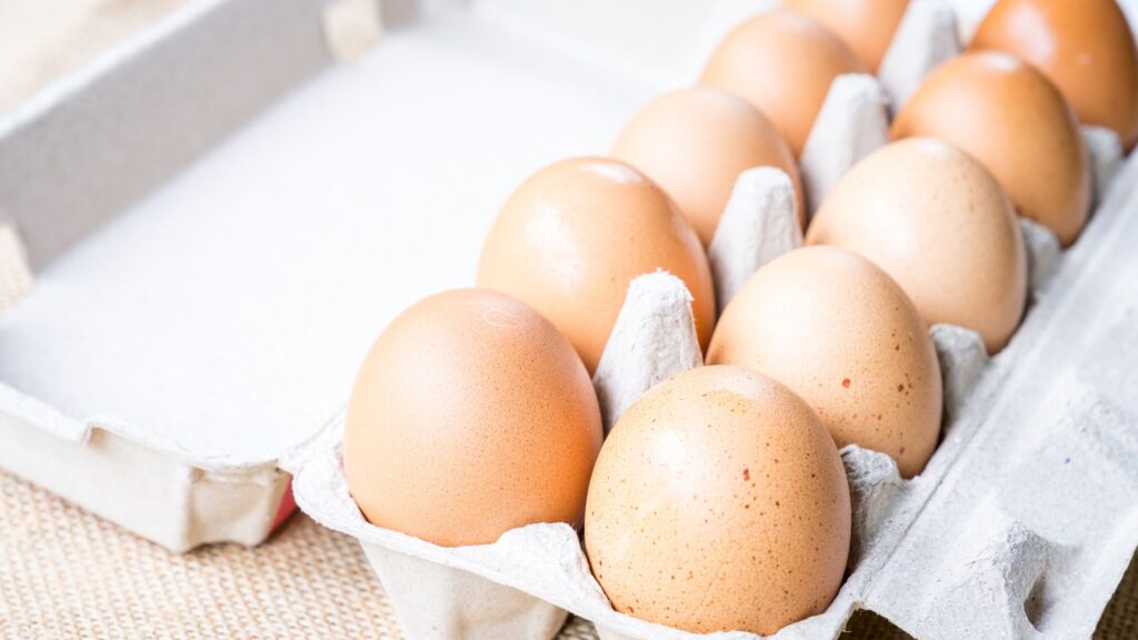 Apa Bahasa Jepang Telur?
