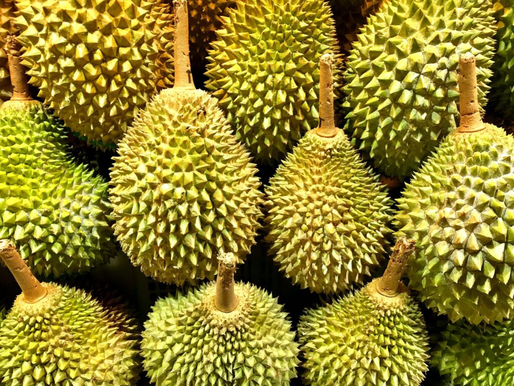 Bahasa Korea Durian