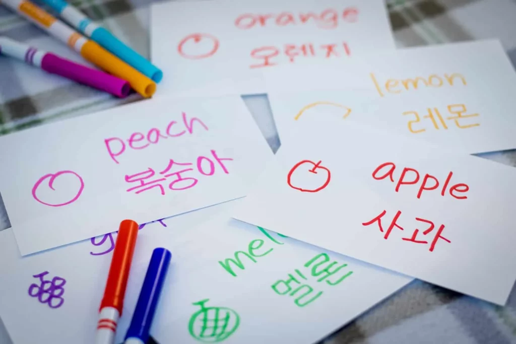 Kenapa Belajar Kosakata Bahasa Korea itu Penting?