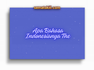 Apa Bahasa Indonesianya The 300x224 